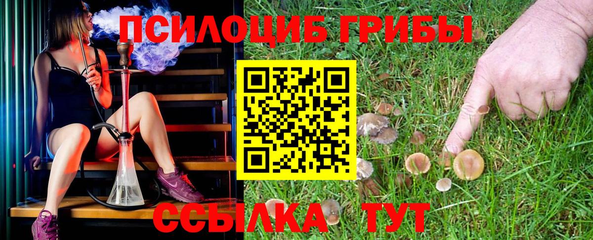 Псилоцибиновые грибы Psilocybine cubensis  Вход с VPN  Ростов-на-Дону  Галлюциногенные грибы Psilocybine cubensis 